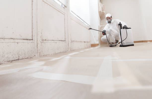 24/7 Emergency Mold Remediation experts in Pikesville, MD