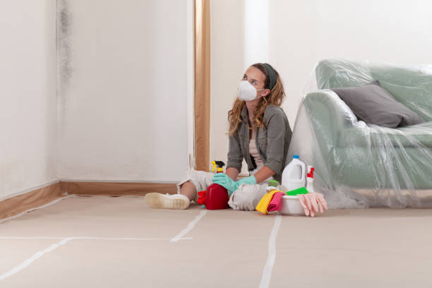 Reliable Mold Remediation contractor in Pikesville, MD by Car Mold Remediation